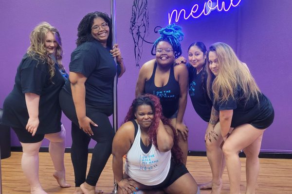 This is a beginner level pole type of class designed for women that are a little intimidated to start pole. In this class we will work on a little cardio for stamina, muscle building for bone health and flexibility. Silks will be used at times.
